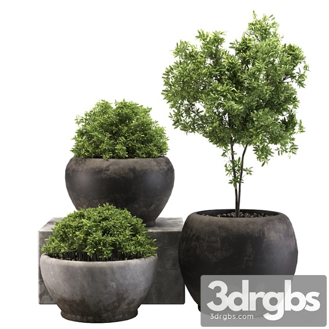 Outdoor Plant 03 3dsmax Download - thumbnail 1