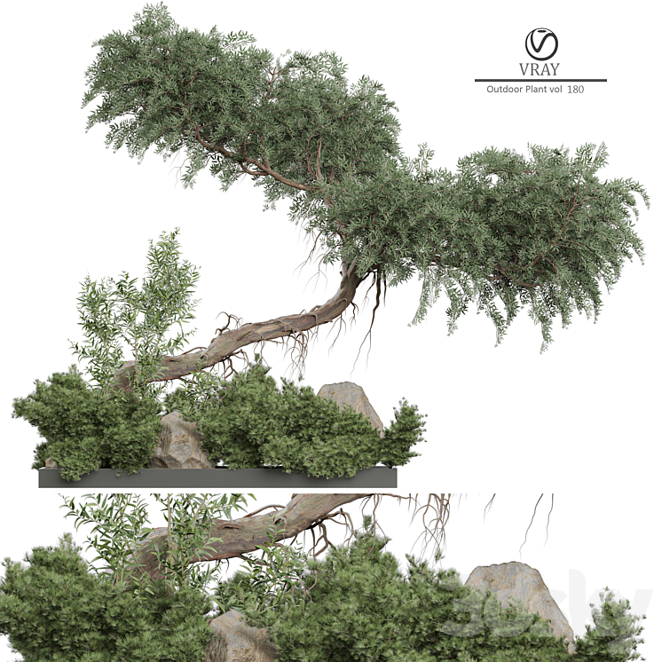 Outdoor Plant 180 3DS Max Model - thumbnail 1