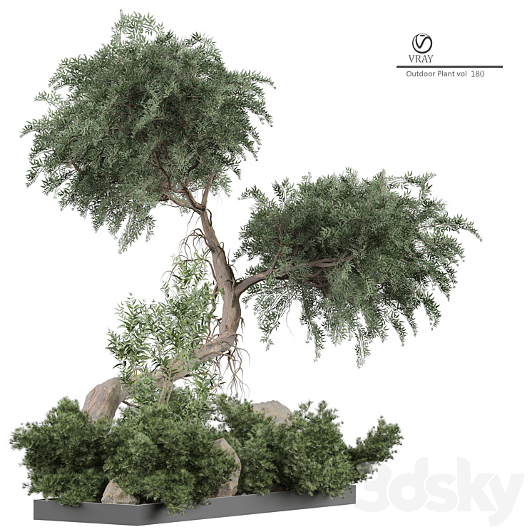 Outdoor Plant 180 3DS Max Model - thumbnail 2