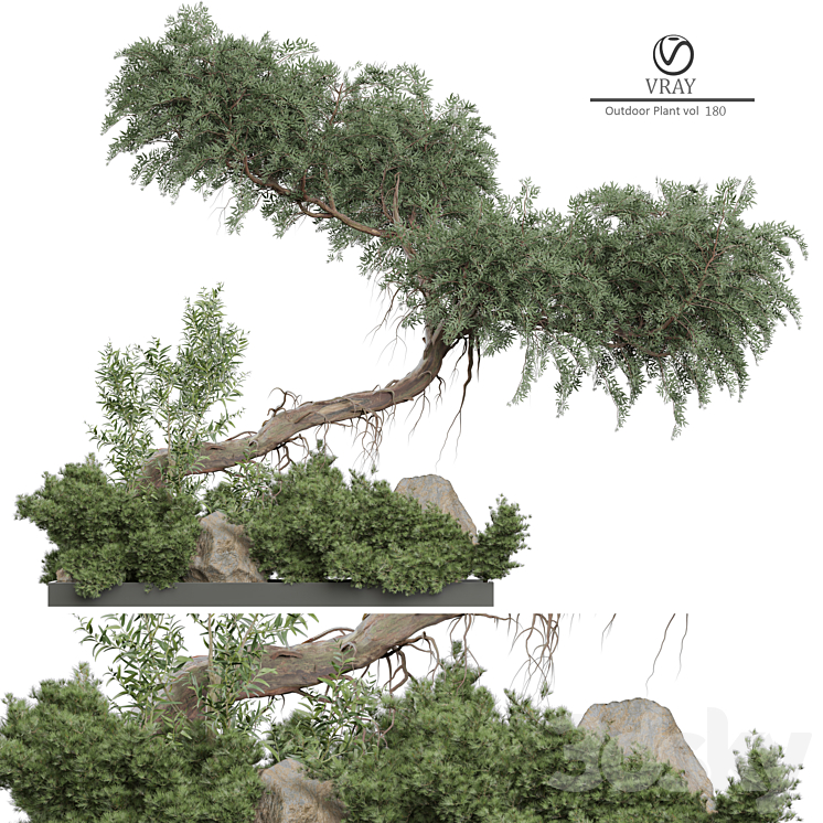 Outdoor Plant 180 3DS Max - thumbnail 1