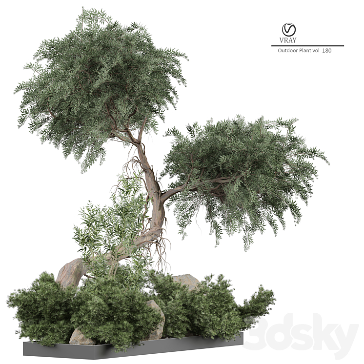 Outdoor Plant 180 3DS Max - thumbnail 2