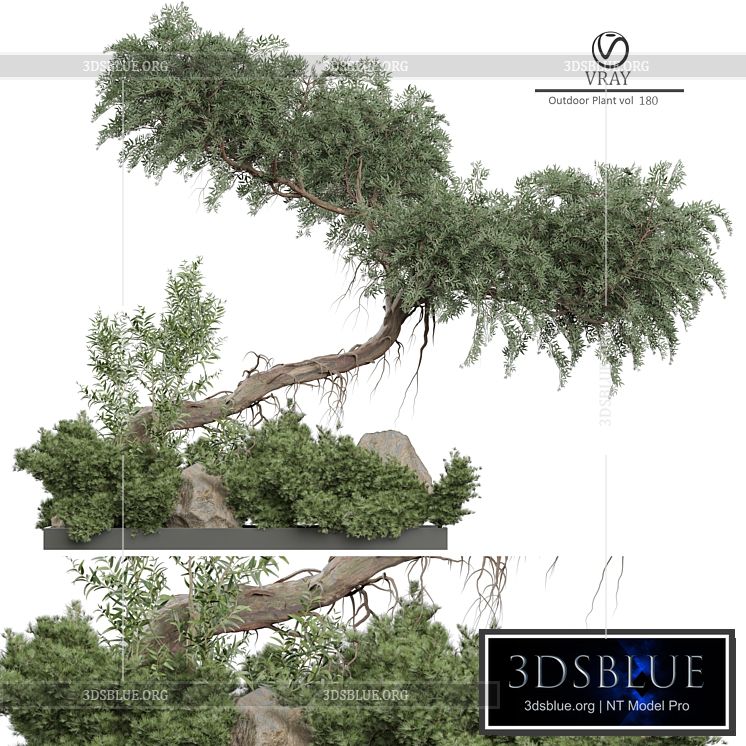 Outdoor Plant 180 3DS Max - thumbnail 3