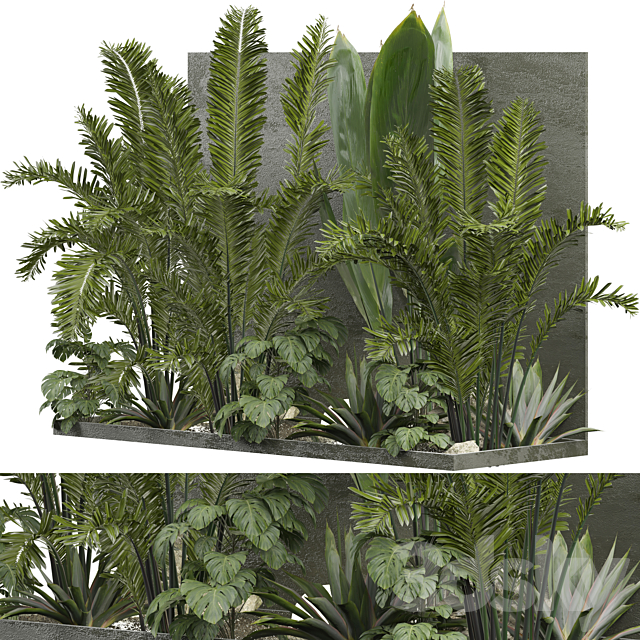 Outdoor Plant 239 3DS Max Model - thumbnail 2