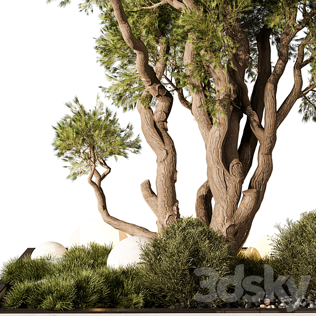 Outdoor Plant 247 3DS Max Model - thumbnail 2