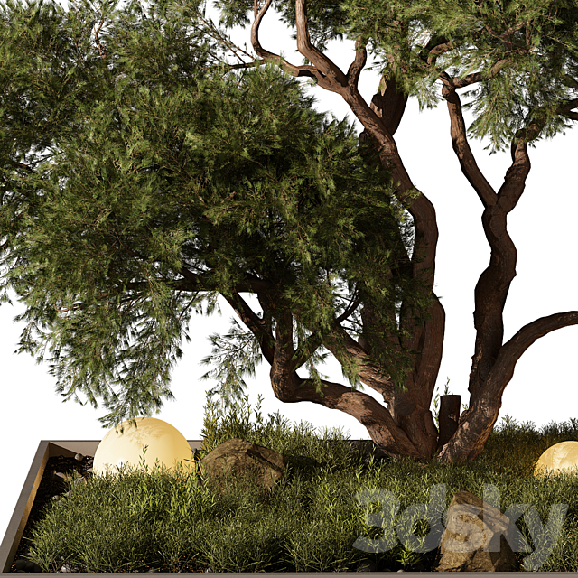 Outdoor Plant 250 3ds Max - thumbnail 2