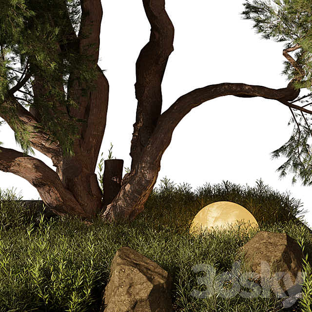 Outdoor Plant 250 3ds Max - thumbnail 3