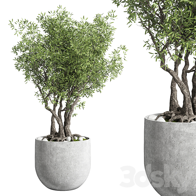 Outdoor plant 28 concrete vase 3ds Max - thumbnail 1