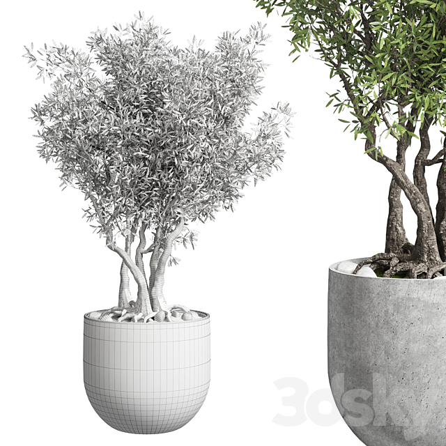 Outdoor plant 28 concrete vase 3ds Max - thumbnail 2