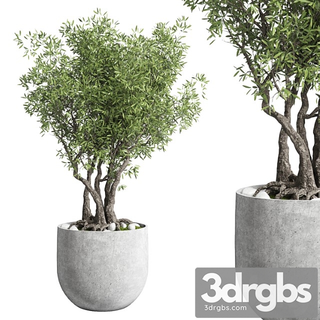 Outdoor Plant 28 Concrete Vase 3dsmax Download - thumbnail 1