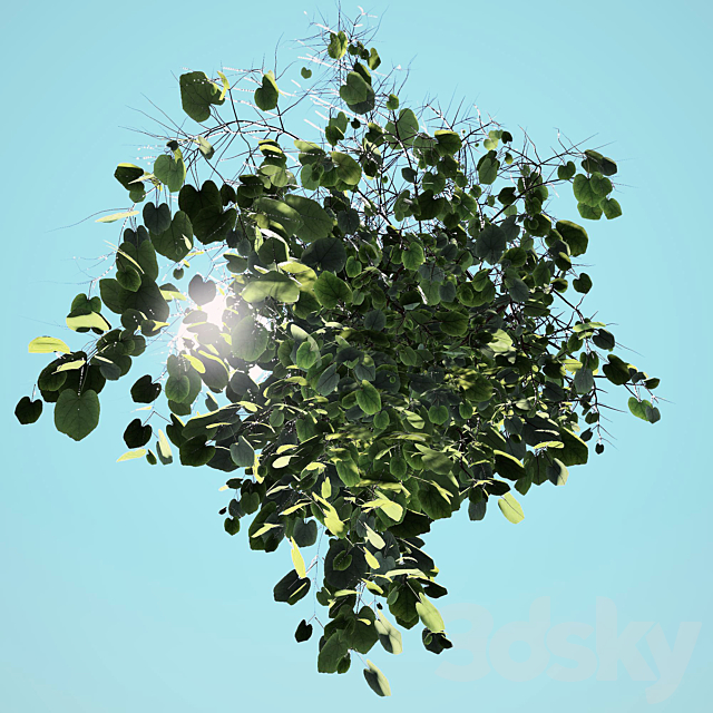 Outdoor plant 3DS Max Model - thumbnail 3