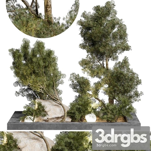 Outdoor Plant 65 3dsmax Download - thumbnail 1