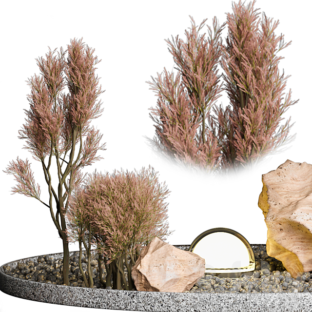 Outdoor Plant 69 3DSMax File - thumbnail 4