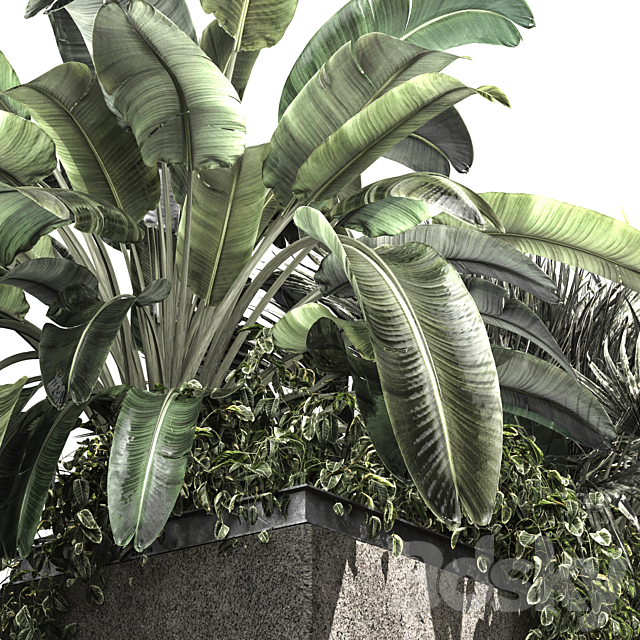 OUTDOOR PLANT BOX-V3 3DS Max Model - thumbnail 5