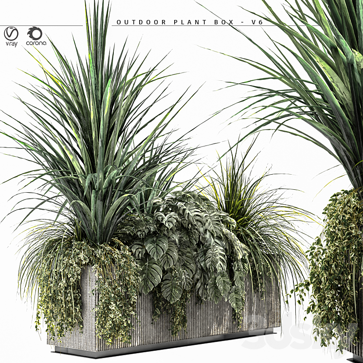 Outdoor Plant BOX-V6 3DS Max - thumbnail 1