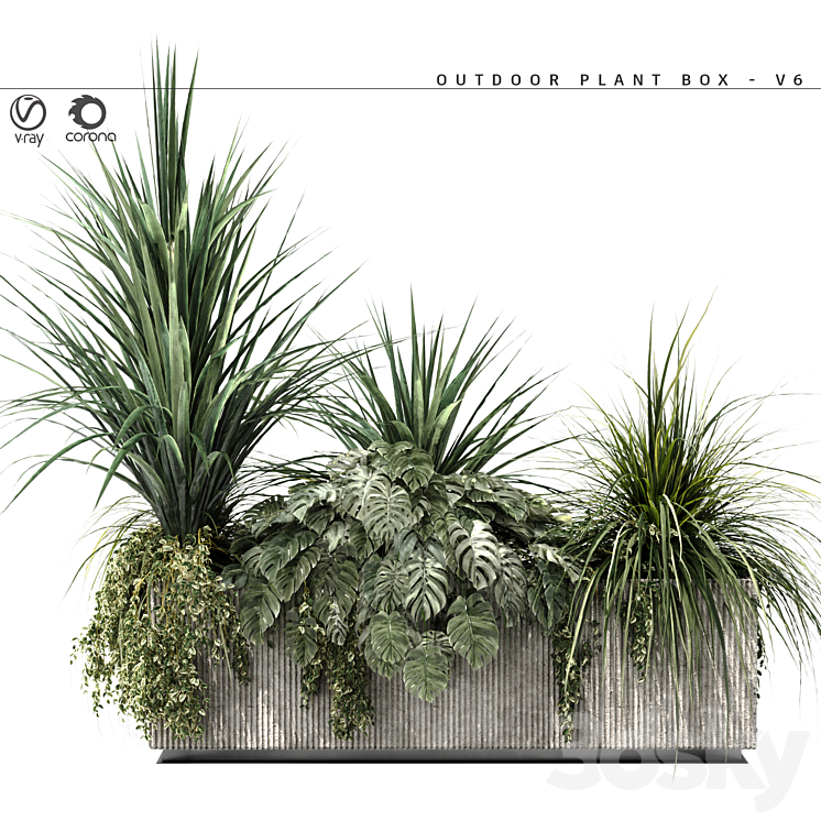 Outdoor Plant BOX-V6 3DS Max - thumbnail 2