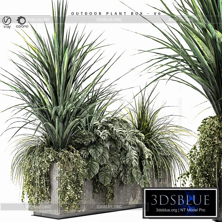 Outdoor Plant BOX-V6 3DS Max - thumbnail 3