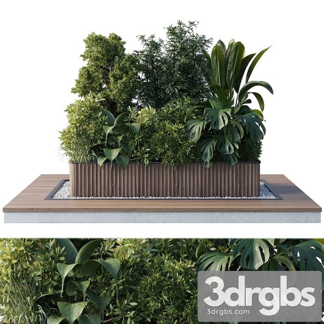 Outdoor Plant Collection 114 3dsmax Download - thumbnail 1