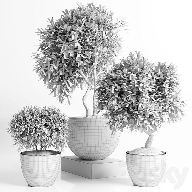 Outdoor plant in concrete pot 12 3DS Max Model - thumbnail 5