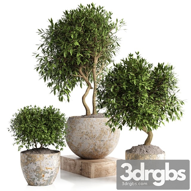 Outdoor Plant in Concrete Pot 12 3dsmax Download - thumbnail 1