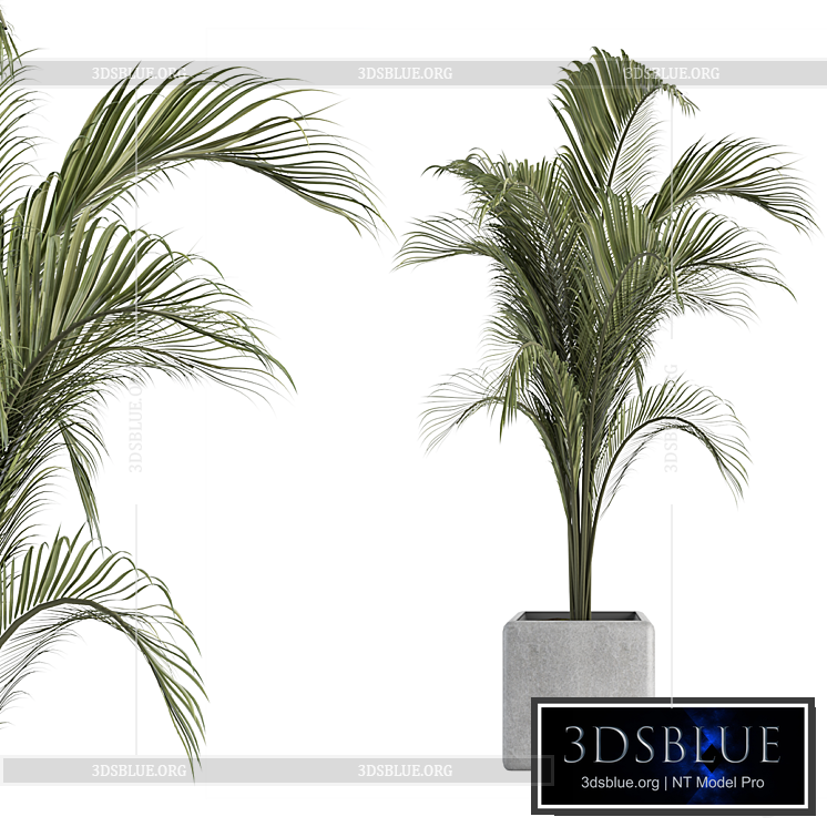 OutDoor Plant No 2 3DS Max - thumbnail 3