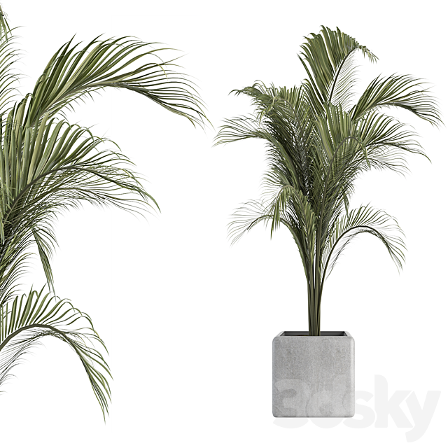 OutDoor Plant No 2 3DSMax File - thumbnail 1