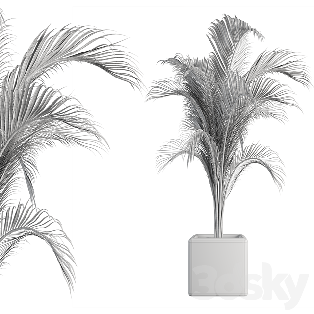 OutDoor Plant No 2 3DSMax File - thumbnail 2