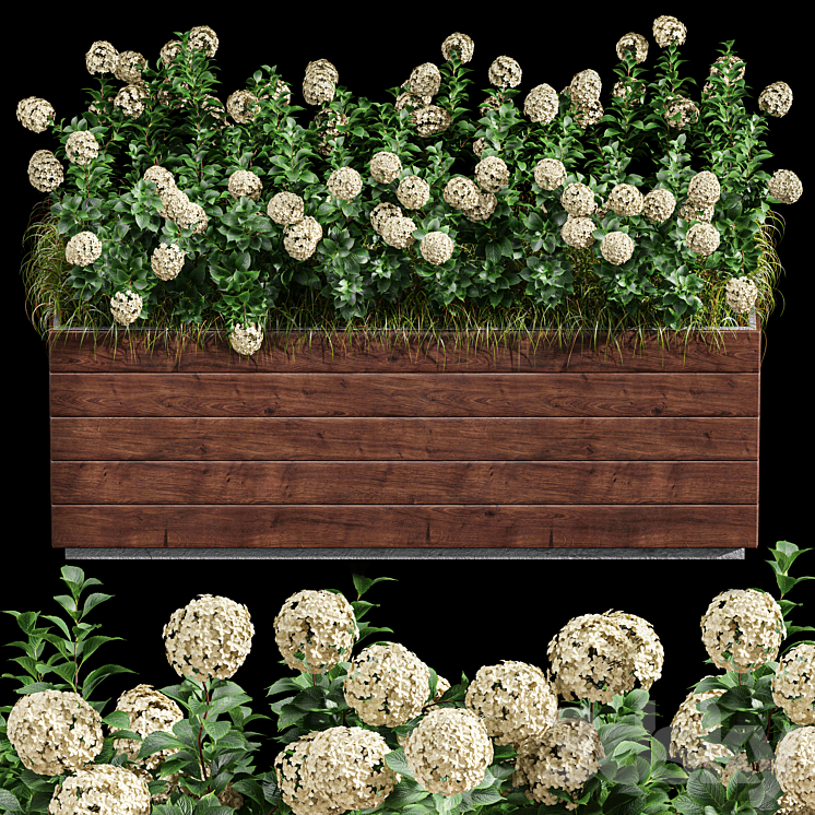 Outdoor Plant Set 001 – Plant Box 3DS Max - thumbnail 1