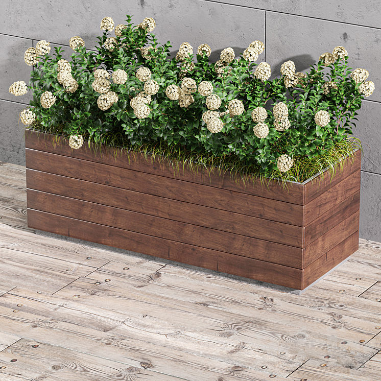 Outdoor Plant Set 001 – Plant Box 3DS Max - thumbnail 2