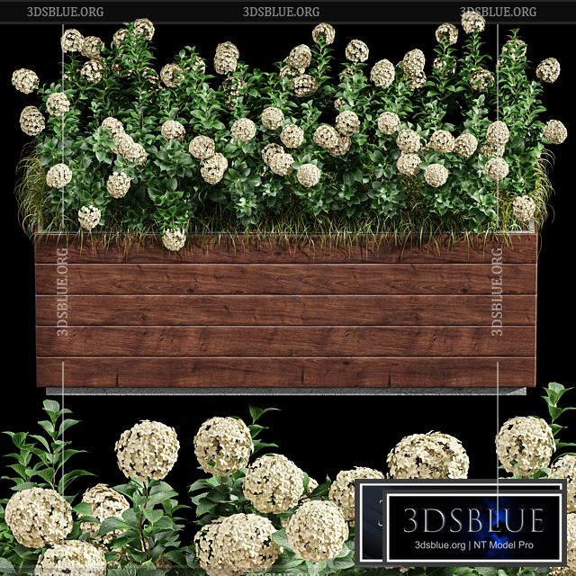 Outdoor Plant Set 001 – Plant Box 3DS Max - thumbnail 3