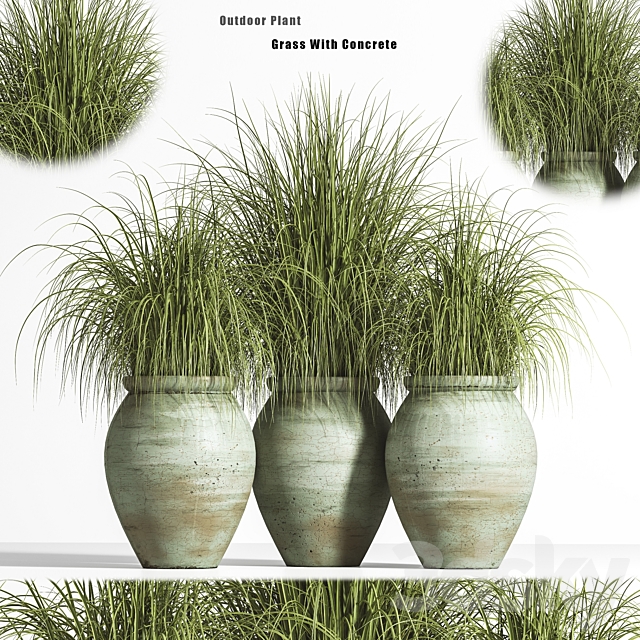 Outdoor Plant set 01 3ds Max - thumbnail 1