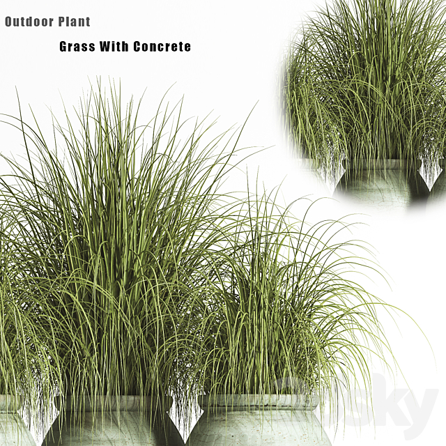 Outdoor Plant set 01 3ds Max - thumbnail 2