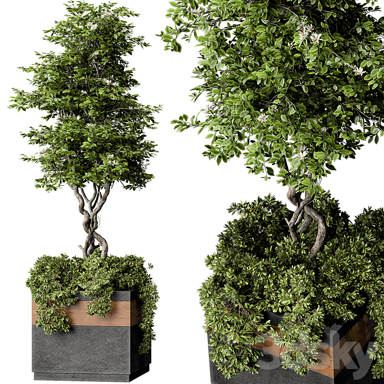 Outdoor Plant Set 01 3DS Max - thumbnail 1