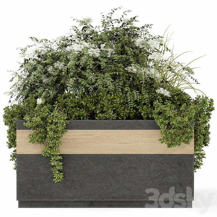 Outdoor Plant Set 02 3DS Max - thumbnail 2