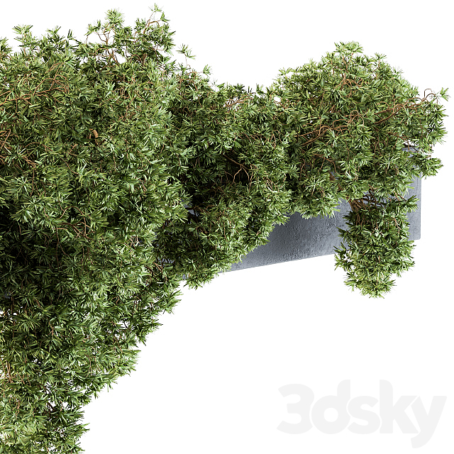 Outdoor Plant Set 103 – Hanging Plants 3DS Max Model - thumbnail 2