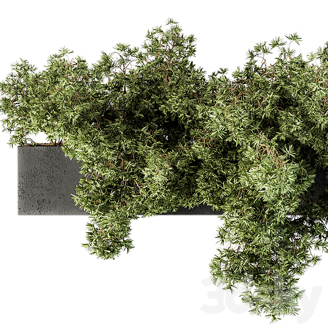 Outdoor Plant Set 103 – Hanging Plants 3DS Max Model - thumbnail 4