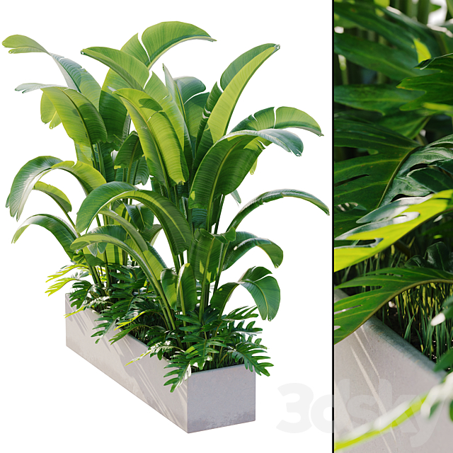 outdoor plant set 12 3ds Max - thumbnail 1