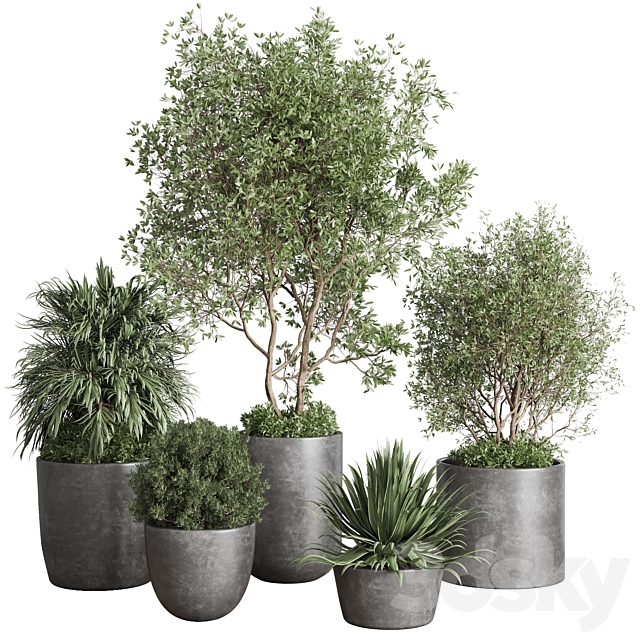 outdoor plant set 160 pot old tree bush palm in a concrete dirty vase 3ds Max - thumbnail 1