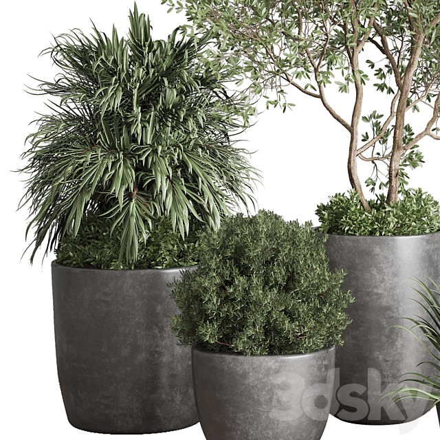 outdoor plant set 160 pot old tree bush palm in a concrete dirty vase 3ds Max - thumbnail 2