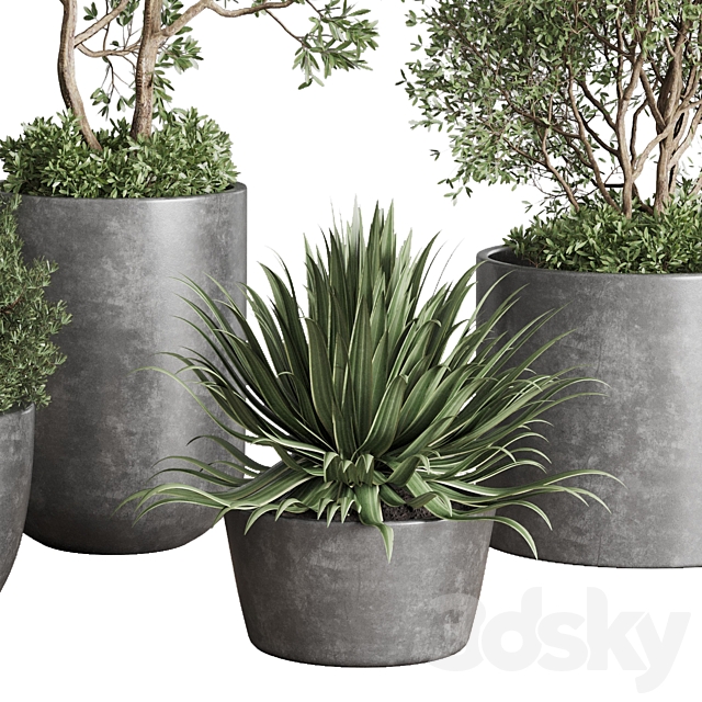 outdoor plant set 160 pot old tree bush palm in a concrete dirty vase 3ds Max - thumbnail 3