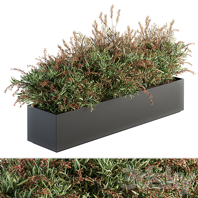 Outdoor Plant Set 166 – Plant Box Bush 3DSMax File - thumbnail 1