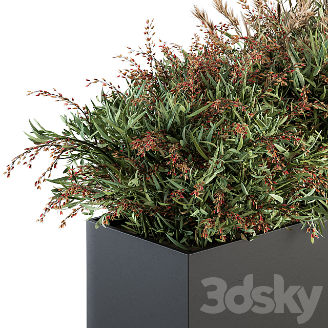 Outdoor Plant Set 166 – Plant Box Bush 3DSMax File - thumbnail 2