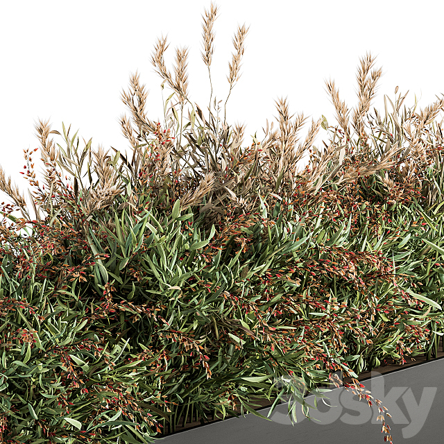 Outdoor Plant Set 166 – Plant Box Bush 3DSMax File - thumbnail 4