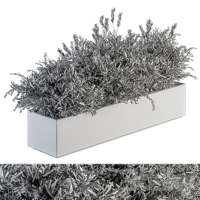 Outdoor Plant Set 166 – Plant Box Bush 3DSMax File - thumbnail 5