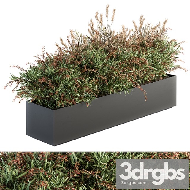 Outdoor plant set 166 – plant box bush - thumbnail 1