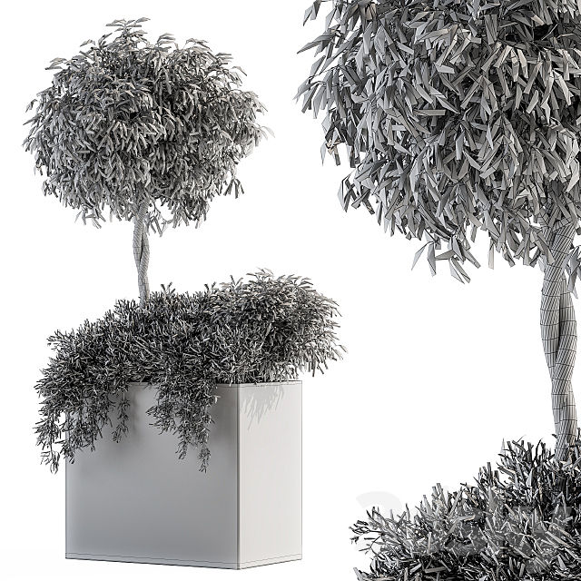 Outdoor Plant Set 172 – Plant Box tree 3DS Max Model - thumbnail 5