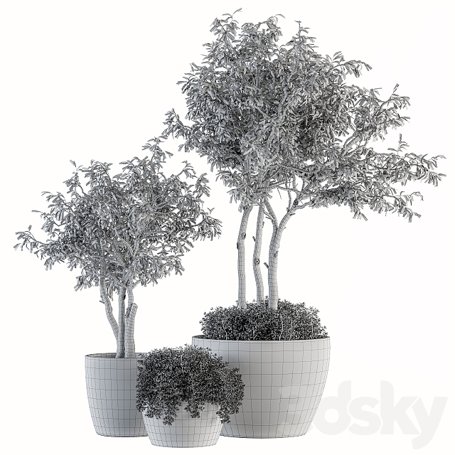 Outdoor Plant Set 182 – Tree Plant in Pot 3DSMax File - thumbnail 5