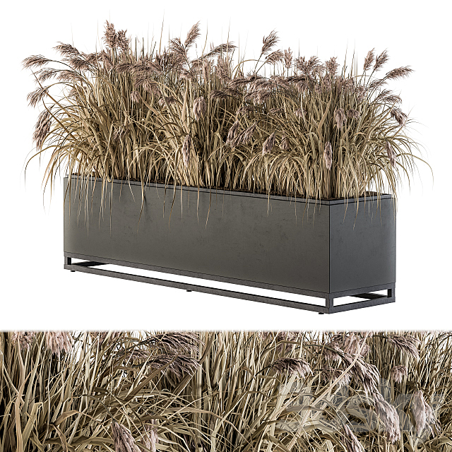 Outdoor Plant Set 184 – Plant Box Dried 3ds Max - thumbnail 1