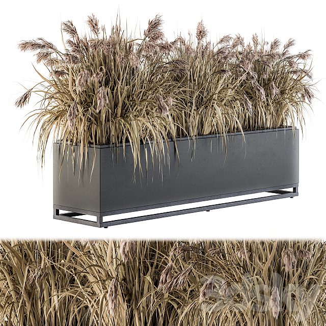 Outdoor Plant Set 184 – Plant Box Dried 3ds Max - thumbnail 2