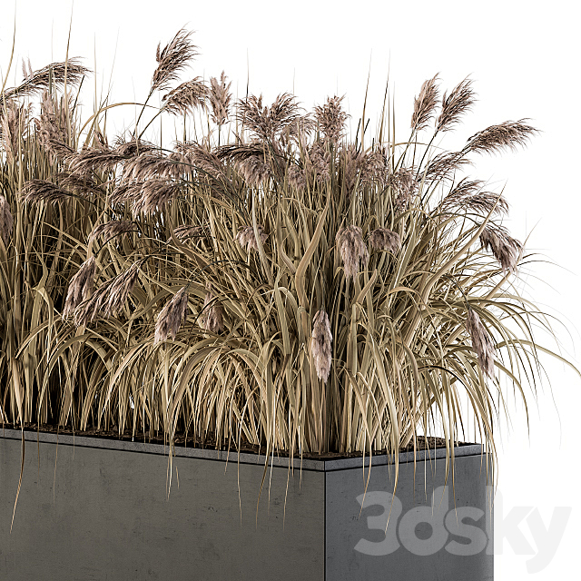 Outdoor Plant Set 184 – Plant Box Dried 3ds Max - thumbnail 3