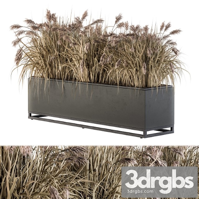 Outdoor plant set 184 – plant box dried - thumbnail 1